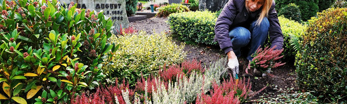 Grabpfleger & Friedhofsgärtner in Seeheim-Jugenheim